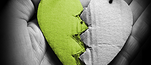 feature_family_dispute